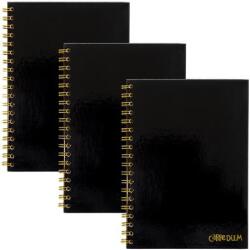 Pukka Pad Spirálfüzet, B5, vonalas, 80 lap, FSC, PUKKA PAD "Carpe Diem", fekete (PUP9375) - pritone