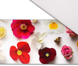 Takoy Szatén szalag 5cm - szeretem a virágot