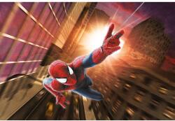 Spiders Poszter Change Colors, 61x90cm, poster1175, Többszínű (poster1175-7777777777777787212)