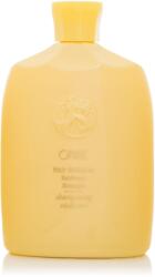 ORIBE Hair Alchemy Resilience Shampoo 250 ml