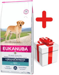 EUKANUBA Eukanuba Adult Labrador Retriever 12kg + kutya meglepetés INGYENES!