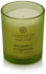 Chesapeake Bay Candle Awaken + Invigorate Lemongrass Eucalyptus Kis Üveggyertya (PT40885E) (PT40885E)