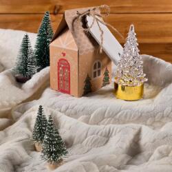  Karácsonyi Fényvarázs Házikó formájú ajándékdobozban