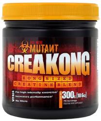PVL Creakong kreatin 300g (KRE000063)