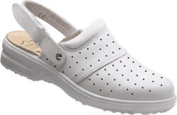 DECLAN 5846 Flóra (5846)