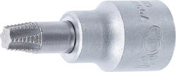 BGS technic Bit detaşabil extractoare şuruburi | acţionare pătrat interior 10 mm (3/8") | pentru profil T defect (pentru Torx) T40 (BGS 7098-T40)