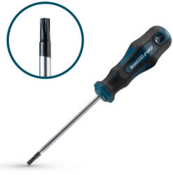 Bormann șurubelniță Torx T20x100 mm S2 (BHT7032) - mistertools Surubelnita