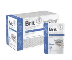 Brit Veterinary Diet Recovery pouch macskáknak 12 x 85 g - csui