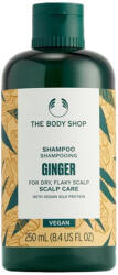 The Body Shop Gyömbéres Fejbőrápoló Sampon (250 ml)