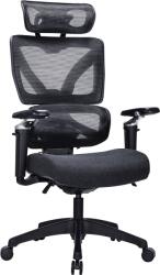 Alza Chair Delta 1 Plus, fekete (AE-EGOC-DE1PB)