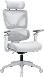 Alza Chair Delta 1 Plus, szürke (AE-EGOC-DE1PY)