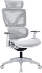 Alza Chair Delta 1 szürke (AE-EGOC-DE1Y)