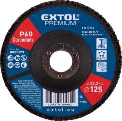 Extol Kotouč lamelový šikmý korundový, průměr 125 mm, P60 8803473 (8803473)