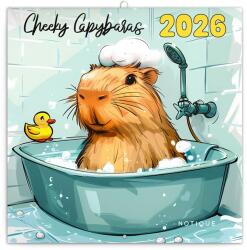REALSYSTEM 2026 Cheeky Capybaras 6097-CK falinaptár (6097-CK) - pcx