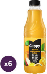 Cappy Tropical Multivitamin vegyes gyümölcsnektár trópusi ízzel és hozzáadott vitaminokkal (6x1 liter)