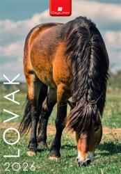 Dayliner Naptár, fali, DAYLINER, Lovak (NFALOB4U) - iroda24