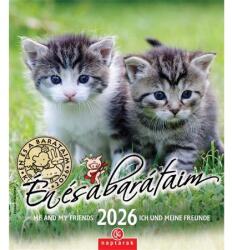 CSG Falinaptár 2026 CSG 19x22 cm Én és a barátaim, magyar ünnep és névnapokkal (FNU05)