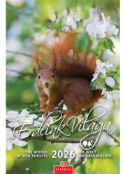 CSG Falinaptár 2026 CSG 21x32 cm Erdeink világa, magyar ünnep és névnapokkal (FN084)