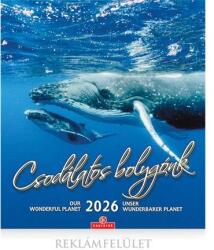 CSG Falinaptár 2026 CSG 21x32 cm Csodálatos bolygónk, magyar ünnep és névnapokkal