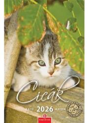 CSG Falinaptár 2026 CSG 21x32 cm Cicák, magyar ünnep és névnapokkal