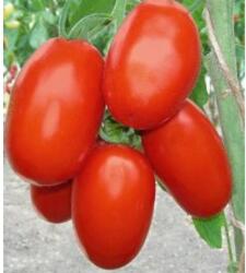 Bejo Torquay 1000 szem - delgazda - 1 650 Ft