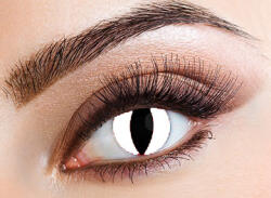 Eyecasions Kontaktlencse - White Cat