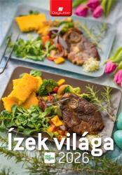 Dayliner Naptár, fali, DAYLINER Ízek világa - Mindmegette (DL6FA-IVB4) - molnarpapir