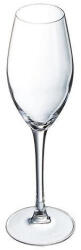 Arc C&S SEQUENCE pezsgős flőte 24 cl (6 db) (508158)