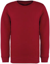 Native Spirit NS403 KIDS' ECO-FRIENDLY ROUND NECK SWEATSHIRT (ns403hre-6/8) - polokozpont