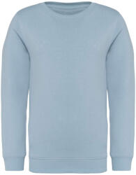 Native Spirit NS403 KIDS' ECO-FRIENDLY ROUND NECK SWEATSHIRT (ns403aqm-12/14) - polokozpont