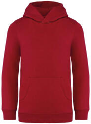 Native Spirit NS404 KIDS’ HOODED SWEATSHIRT (ns404hre-6/8) - polokozpont