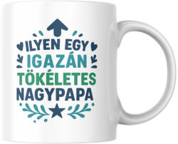  Ilyen egy igazán tökéletes nagypapa bögre (ilyen_egy_igazan_tokeletes_nagypapa_bogre)