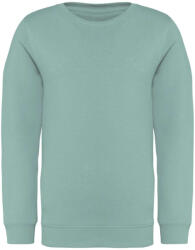 Native Spirit NS403 KÖRNYEZETBARÁT KÖRNYAKAS GYERMEK PULÓVER (ns403jg-8/10)