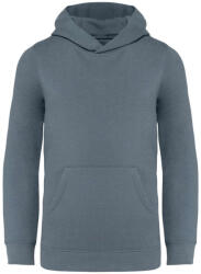 Native Spirit NS404 KIDS’ HOODED SWEATSHIRT (ns404mngr-12/14) - polokozpont