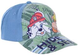 Kids movie heroes Шапка paw patrol (ev4015.rse-blue)