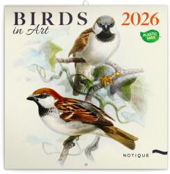 Realsystem Falinaptár képes lemeznaptár 300x300mm, Birds in Art Realsystem 2026 (36694) - irodasziget