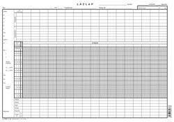Pátria Nyomtatvány Lázlap A/3 fekvő (C.3410-7)