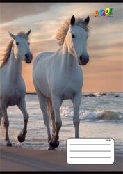 Victoria Füzet, tűzött, A5, vonalas, 32 lap, 3. osztály, COOL BY VICTORIA, "Horses", "12-32 (ISVFC78) - irodasziget