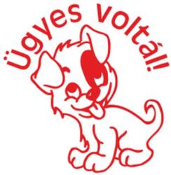 COLOP Bélyegző, motivációs, Ügyes voltál! , COLOP "N43-kék", piros (IC18034302) - irodasziget