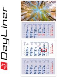 Dayliner Speditőr naptár 3 tömb, 3 hónap Maxi Club 350 × 820 mm, fehér lapokkal Erdő Dayliner 2026 (58216)