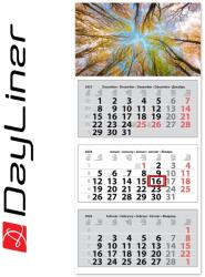 Dayliner Speditőr naptár 3 tömb, 3 hónap Medium Classic 350 × 755 mm, fehér lapokkal Erdő Dayliner 2026 (58222) - irodasziget