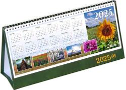 CSIZIO Naptár, asztali, álló, CSÍZIÓ "Öko", zöld (NCSAZ)