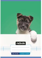 Nebulo Füzet, A5, 1. osztályos vonalas, 14-32, Vagány minták, 16 db/csomag Nebulo (55806) - irodasziget