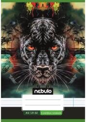 Nebulo Füzet, A5, 4. osztályos vonalas, 21-32, Vagány minták, II. , 16 db/csomag Nebulo (55810) - irodasziget