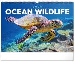 Realsystem Falinaptár képes 480×330mm Ocean Wildlife Realsystem 2026 (57561)