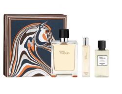 Hermès Terre D´ Hermes - EDT 100 ml + aftershave 40 ml + EDT 15 ml