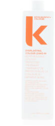 KEVIN.MURPHY Spray a hajszín megőrzésére Everlasting. Colour Leave-in (Colour Protective Treatment) 1000 ml