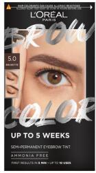 L'Oréal Semi-permanens szemöldökfesték Brow Color (Semi-Permanent Eyebrow Tint) 5.0 Brunette