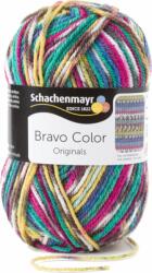 Schachenmayr Bravo Color Aqua Jacquard Color 02084 Kötőfonal (9801421-02084)