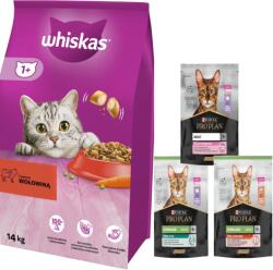Whiskas WHISKAS Száraz macskatáp 1+ marhahússal 14kg + INGYENES PRO PLAN felnőtt macskatáp 400g - véletlenszerű szállítás
